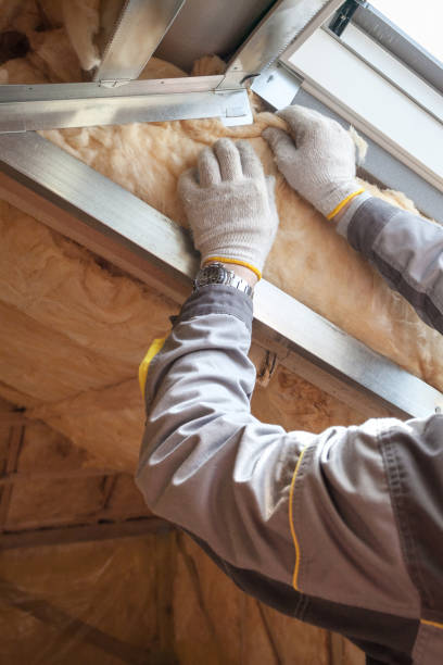 Best Residential Insulation in Springville, NY