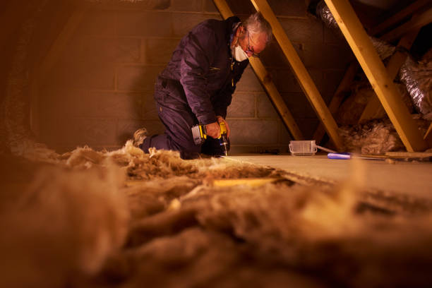 Best Insulation Installation Services in Springville, NY